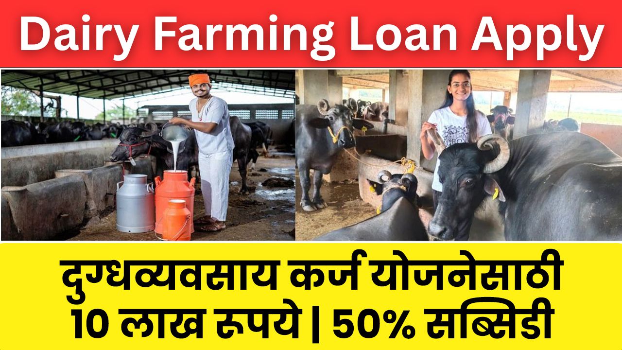 Dairy Farming Loan Apply Online