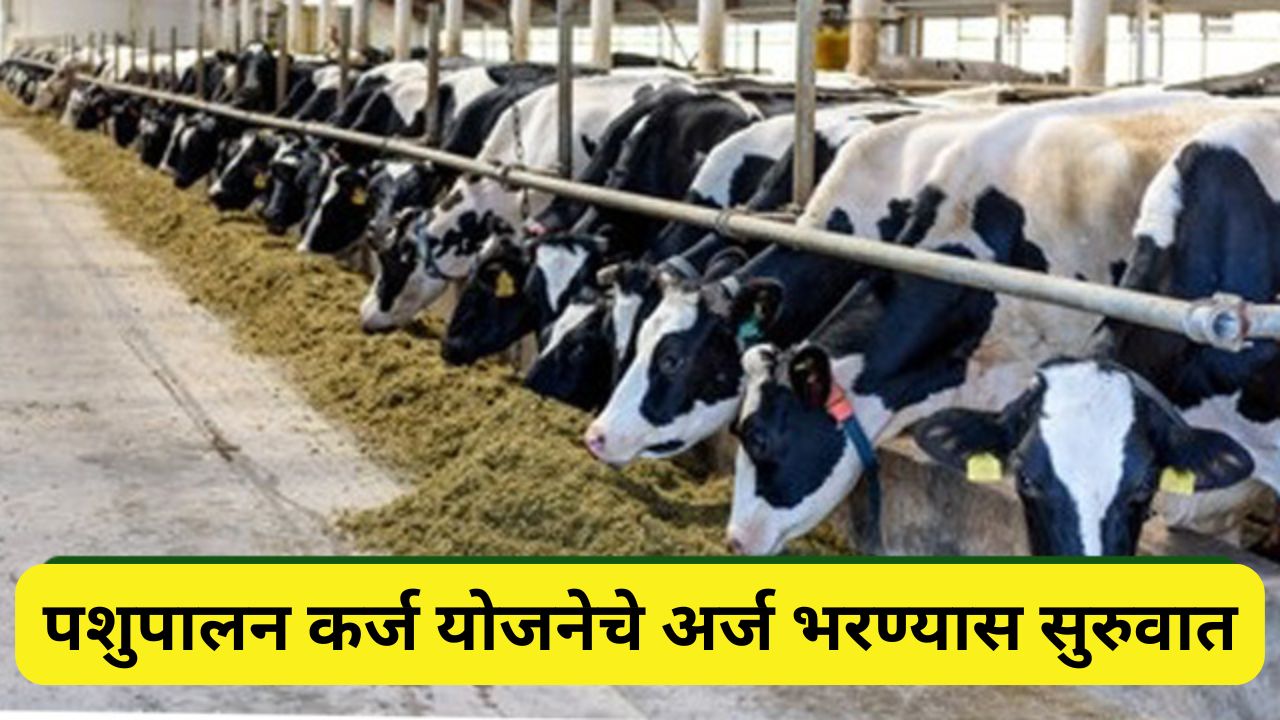 Pashupalan Loan Yojana